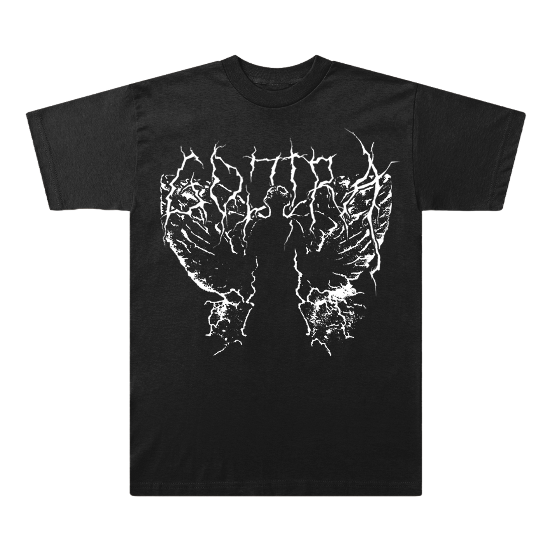Wings Wrapped Exclusive Tee